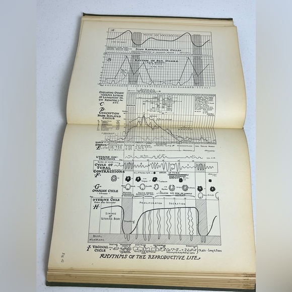 Topographical Hand Atlas Human Sex Anatomy Dickinson 1933 1st Ed Illustrated - Picture 14 of 15